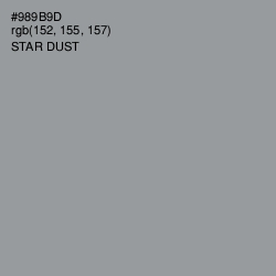 #989B9D - Star Dust Color Image